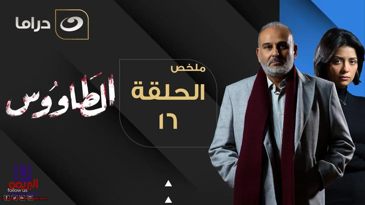 تسريب الحلقة ال16 من مسلسل الطاووس عبر لينك تليجرام بدون فواصل