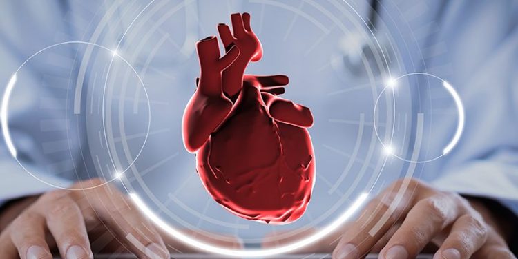 جراحة القلب والأوعية الدموية: العمليات والإجراءات من داخل الأوعية الدموية في الخارج 1 جراحة القلب والأوعية الدموية