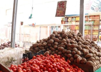 اسعار الخضار اليوم 24/9/2024 في الاسواق المصرية | اسعار الخضار