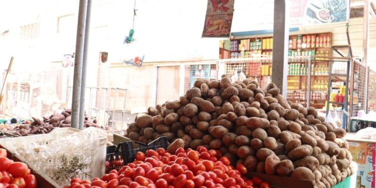 اسعار الخضار اليوم 24/9/2024 في الاسواق المصرية | اسعار الخضار 1 اسعار الخضار اليوم 24/9/2024 في الاسواق المصرية | اسعار الخضار