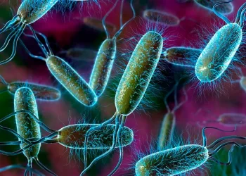 بكتيريا الإيكولاي خطر داهم قرية كاملة بالسودان اطلع علي جميع التفاصيل