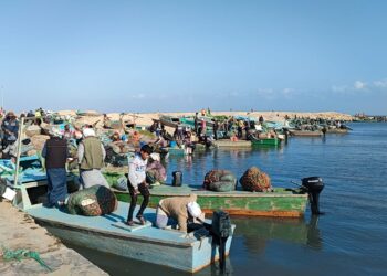 بحيرة البردويل في أمان: تصريحات مجلس الوزراء تؤكد عدم البيع بل يتم تنميتها