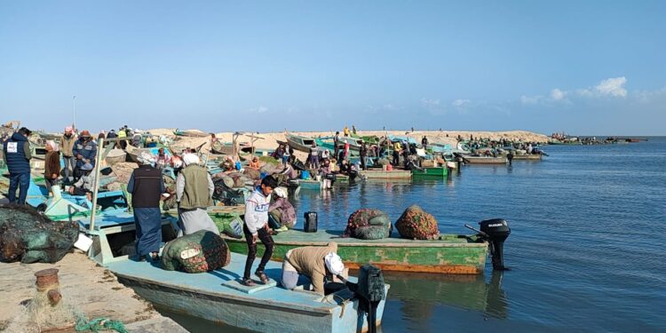 بحيرة البردويل في أمان: تصريحات مجلس الوزراء تؤكد عدم البيع بل يتم تنميتها 1 بحيرة البردويل في أمان: تصريحات مجلس الوزراء تؤكد عدم البيع بل يتم تنميتها