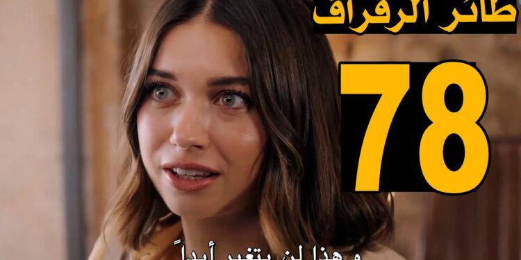 مسلسل الطائر الرفراف الحلقة 78 مترجمة قنوات تليجرام | مسلسل الطائر الرفراف