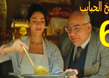 مسلسل مطعم الحبايب الحلقة 6 بطولة احمد مالك وهدي المفتي