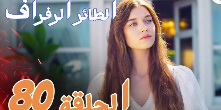 مسلسل الطائر الرفراف الحلقة 80 مترجم موقع قصة عشق 1 مسلسل الطائر الرفراف الحلقة 80 مترجم موقع قصة عشق