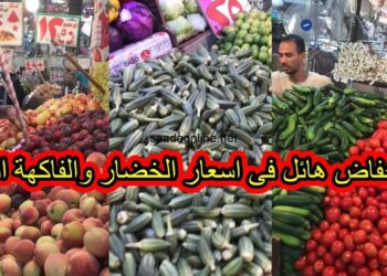 تقرير مفصل عن أسعار الخضار في سوق العبور اليوم