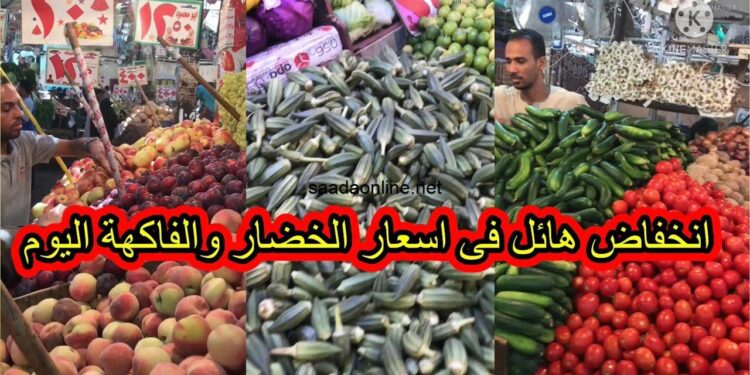 تقرير مفصل عن أسعار الخضار في سوق العبور اليوم 1 تقرير مفصل عن أسعار الخضار في سوق العبور اليوم