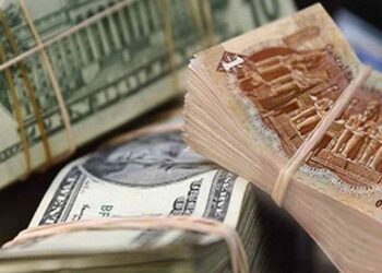 سعر الدولار اليوم مقابل الجنيه المصرى ويصعد إلى مستوى قياسي