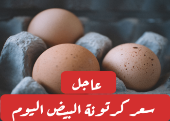 أسعار البيض تتراجع بشكل مفاجئ اليوم بالأسواق "شوف الكرتونة نزلت كام؟"