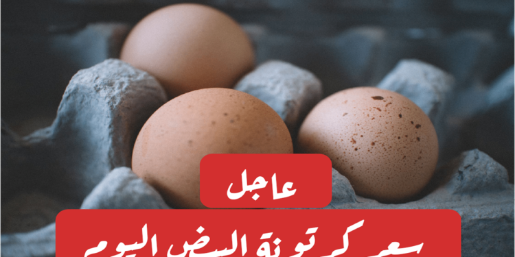 أسعار البيض تتراجع بشكل مفاجئ اليوم بالأسواق "شوف الكرتونة نزلت كام؟"