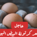 أسعار البيض تتراجع بشكل مفاجئ اليوم بالأسواق "شوف الكرتونة نزلت كام؟"