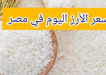أسعار الأرز اليوم الجمعة 22 نوفمبر 2024: استقرار في الأرز وعودة الشعير لمستوى مفاجئ