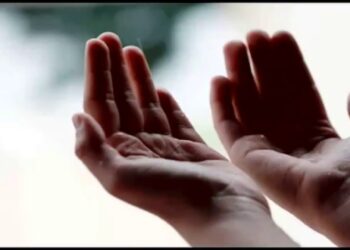 مواقيت الصلاة في مصر لليوم الثلاثاء 19-11-2024 موعد أذان الظهر