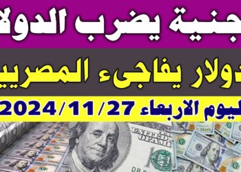 سعر الدولار أمام الجنيه المصري: تقرير محدث من البنوك اليوم 26 نوفمبر 2024