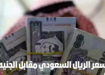 أسعار الريال السعودي في مصر اليوم السبت 23 نوفمبر 2024