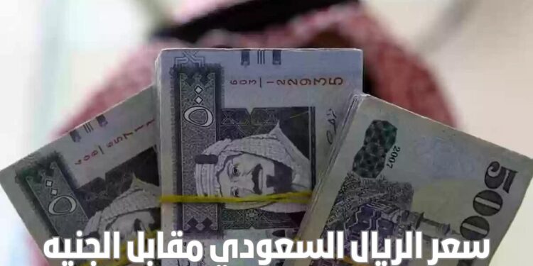 أسعار الريال السعودي في مصر اليوم السبت 23 نوفمبر 2024 1 أسعار الريال السعودي في مصر اليوم السبت 23 نوفمبر 2024