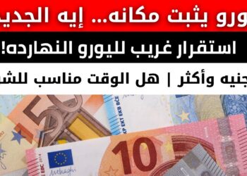 سعر اليورو في البنوك المصرية اليوم الخميس 21 نوفمبر 2024