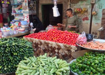 أسعار الخضروات والفواكه تشهد انخفاضًا كبيرًا في أسواق الغردقة اليوم السبت