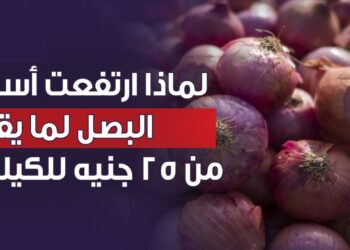 أسعار البصل في ارتفاع: كيلو البصل قد يصل إلى 40 جنيهًا في هذا الموعد