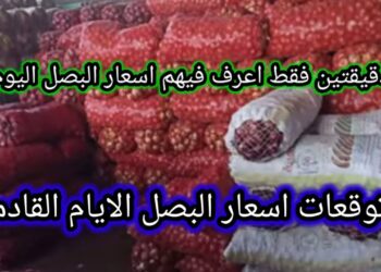 سعر كيلو البصل اليوم بعد الارتفاع المفاجئ.. تعرف على أحدث التحركات السعرية
