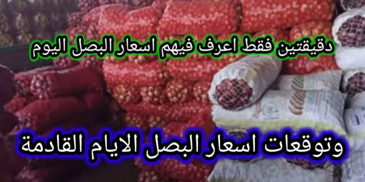 سعر كيلو البصل اليوم بعد الارتفاع المفاجئ.. تعرف على أحدث التحركات السعرية 1 سعر كيلو البصل اليوم بعد الارتفاع المفاجئ.. تعرف على أحدث التحركات السعرية