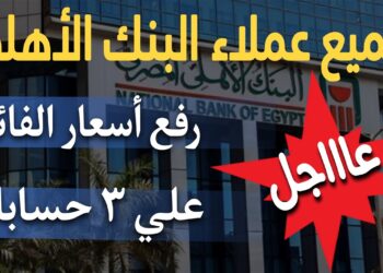 البنك الأهلي المصري يحدد أسعار فائدة شهادات الاستثمار طويلة الأجل لمدة 10 سنوات