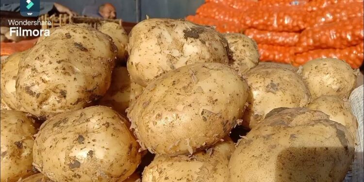 سعر البطاطس اليوم الإثنين 25 نوفمبر 2024 بعد الزيادة المفاجئة.. تعرف على الأسعار 1 سعر البطاطس اليوم الإثنين 25 نوفمبر 2024 بعد الزيادة المفاجئة.. تعرف على الأسعار