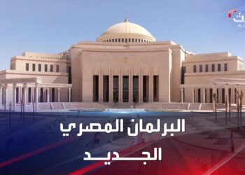 البرلمان المصري يقرر حجب تيك توك بشكل نهائي.. تحرك لحماية المجتمع من الأضرار