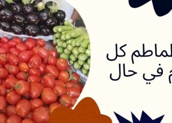 أسعار الطماطم اليوم الأربعاء 27 نوفمبر 2024: تراجع مفاجئ يغير التوقعات