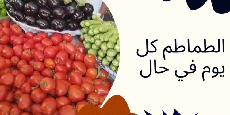 أسعار الطماطم اليوم الأربعاء 27 نوفمبر 2024: تراجع مفاجئ يغير التوقعات 1 أسعار الطماطم اليوم الأربعاء 27 نوفمبر 2024: تراجع مفاجئ يغير التوقعات