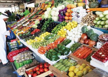 أسعار الفراولة والأناناس اليوم الأحد 24 نوفمبر 2024: كيلو الفراولة بـ 100 جنيه والأناناس بـ 75 جنيه