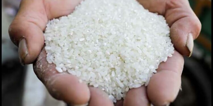 سعر الأرز رفيع وعريض الحبة اليوم الأربعاء 20 نوفمبر 2024.. مفاجآت جديدة في أسعار الشعير 1 سعر الأرز رفيع وعريض الحبة اليوم الأربعاء 20 نوفمبر 2024.. مفاجآت جديدة في أسعار الشعير