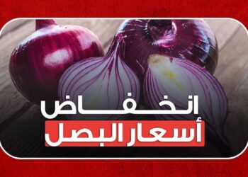 سعر البصل يرتفع بشكل مفاجئ اليوم الأربعاء 20 نوفمبر 2024.. إليك تفاصيل الأسعار