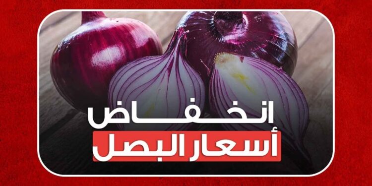 سعر البصل يرتفع بشكل مفاجئ اليوم الأربعاء 20 نوفمبر 2024.. إليك تفاصيل الأسعار 1 سعر البصل يرتفع بشكل مفاجئ اليوم الأربعاء 20 نوفمبر 2024.. إليك تفاصيل الأسعار