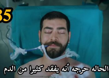 مسلسل زهور الدم الحلقة 385 مترجمة بجودة عالية قصة عشق وقنوات تليجرام