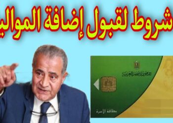 إضافة المواليد على بطاقة التموين: الشروط والأحكام الجديدة لعام 2024