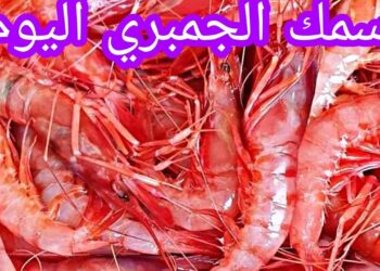 سعر السمك والجمبري في مصر اليوم الاثنين 18 نوفمبر 2024: مفاجأة في أسعار البلطي والبوري