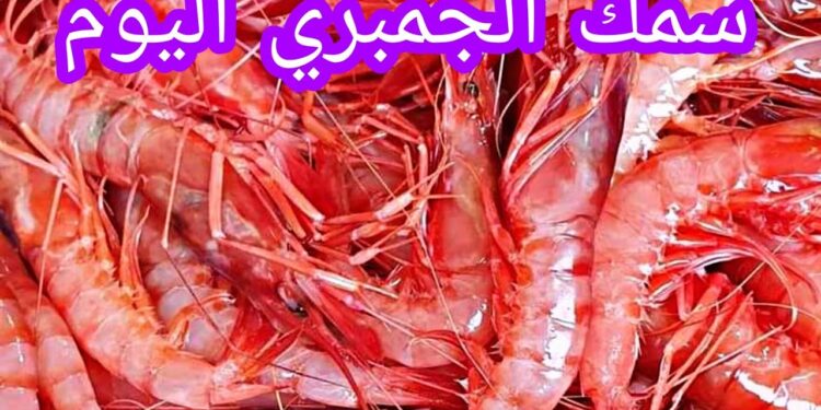 سعر السمك والجمبري في مصر اليوم الاثنين 18 نوفمبر 2024: مفاجأة في أسعار البلطي والبوري 1 سعر السمك والجمبري في مصر اليوم الاثنين 18 نوفمبر 2024: مفاجأة في أسعار البلطي والبوري