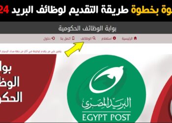 وظائف هيئة البريد المصري 2024: كيف تقدم وتحقق حلمك المهني