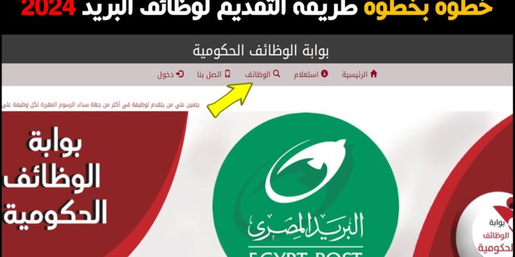 وظائف هيئة البريد المصري 2024: كيف تقدم وتحقق حلمك المهني