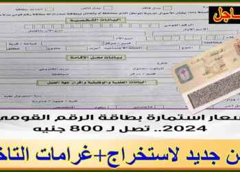 زيادة سعر استمارة الرقم القومي إلى 800 جنيه.. إجراءات سريعة لاستخراج البطاقة