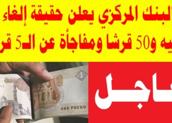 إلغاء الجنيه والخمسين قرش الورق في المولات والمواصلات.. هل هذه هي النهاية للعملة الورقية؟