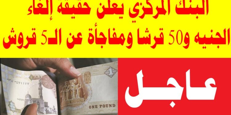 إلغاء الجنيه والخمسين قرش الورق في المولات والمواصلات.. هل هذه هي النهاية للعملة الورقية؟ 1 إلغاء الجنيه والخمسين قرش الورق في المولات والمواصلات.. هل هذه هي النهاية للعملة الورقية؟