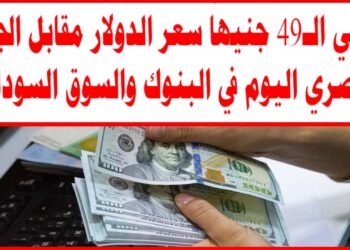 سعر الدولار اليوم تحديات الجنيه المصري في السوق العالمي والسوق السوداء