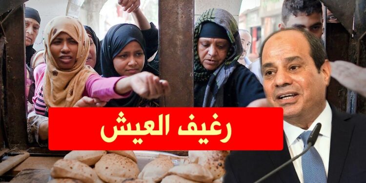 سعر رغيف الخبز في الدعم النقدي: هل سيدفع المواطن 1.25 جنيه للرغيف؟