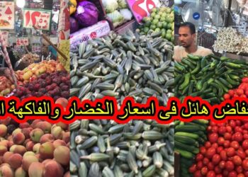 أسعار البطاطس اليوم الأحد 24 نوفمبر: مفاجأة جديدة في الكيلو بعد الزيادة