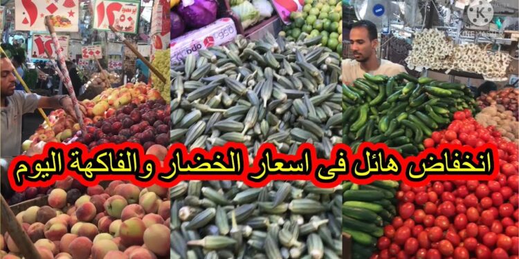 أسعار البطاطس اليوم الأحد 24 نوفمبر: مفاجأة جديدة في الكيلو بعد الزيادة