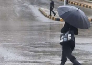 حالة الطقس غدا 1732475235 0