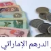 سعر الدرهم الإماراتي أمام الجنيه المصري اليوم : ماذا يطرأ على الأسواق؟ 2 سعر الدرهم الإماراتي أمام الجنيه المصري اليوم : ماذا يطرأ على الأسواق؟